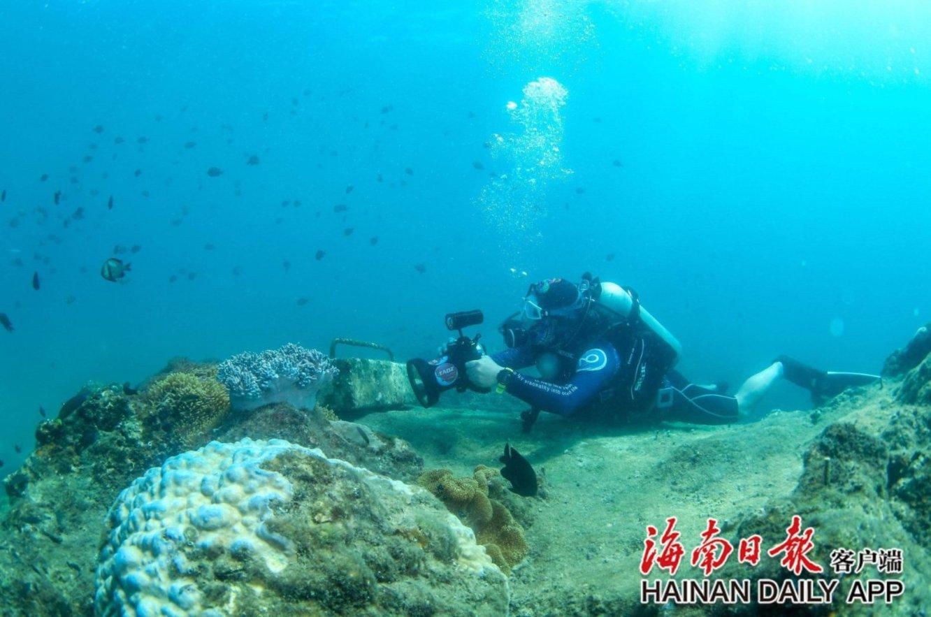 探索知识星球平台-如何炖鸡蛋很嫩,解锁无限学习可能
